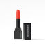 lipstick-E63E31.jpg