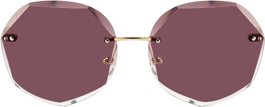 Polygon Sunglasses 9901